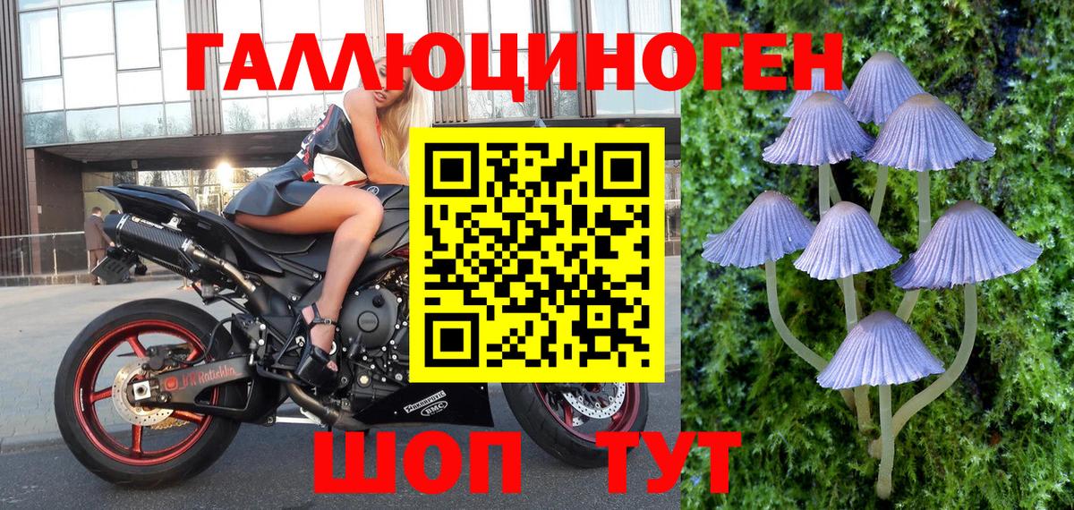 Галлюциногенные грибы Psilocybine cubensis Можга