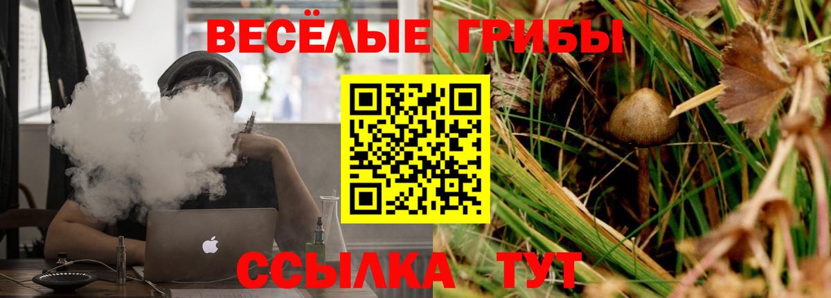 МАРИХУАНА  Марихуана  Можга  МЕФ кристаллы  ГАШ  Вход с VPN  Купить наркоту  МДМА  Метадон  ЭКСТАЗИ 